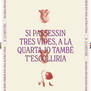 PÒSTER - A LA MEVA VERA